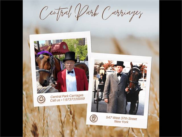 Central Park Carriages