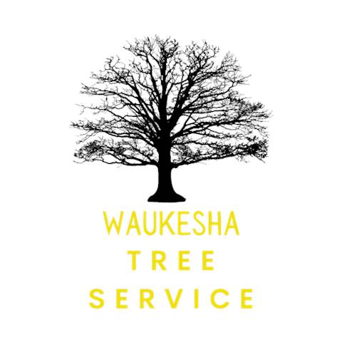 Waukesha Tree Service